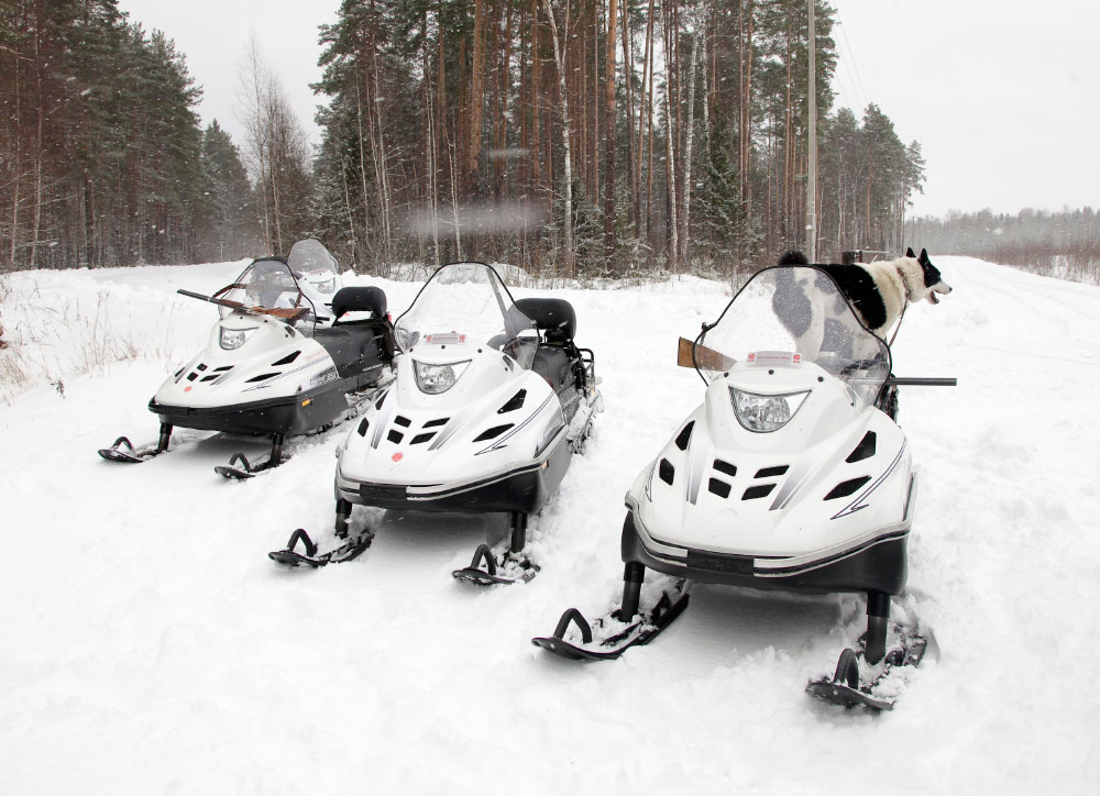 СНЕГОХОД РМ ТАЙГА ВАРЯГ 550 V в Тамбове