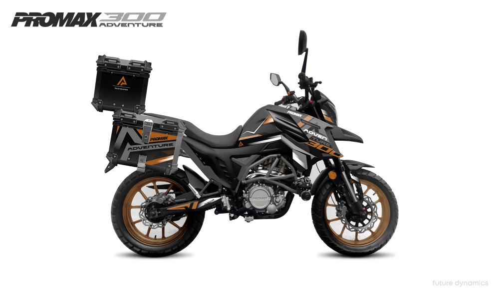 Мотоцикл PROMAX ADVENTURE 300 PRO EFI (NB300) в Тамбове