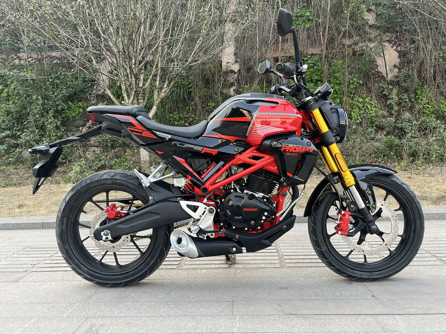 Мотоцикл PROMAX CB300 в Тамбове