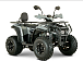 Квадроцикл YACOTA DRAGON LUX LD 150 PRO-SPORT в Тамбове