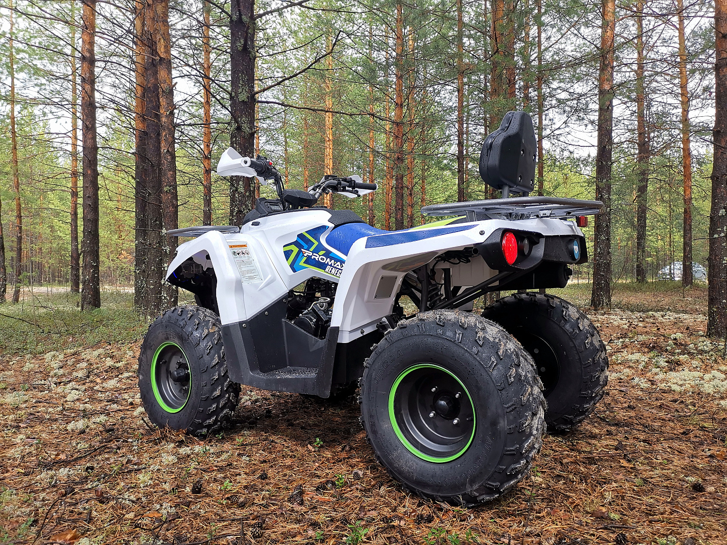 Квадроцикл PROMAX RENEGADE 280 (2025) в Тамбове