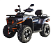 Квадроцикл MOTOLAND (МОТОЛЕНД) 300 MAX X в Тамбове