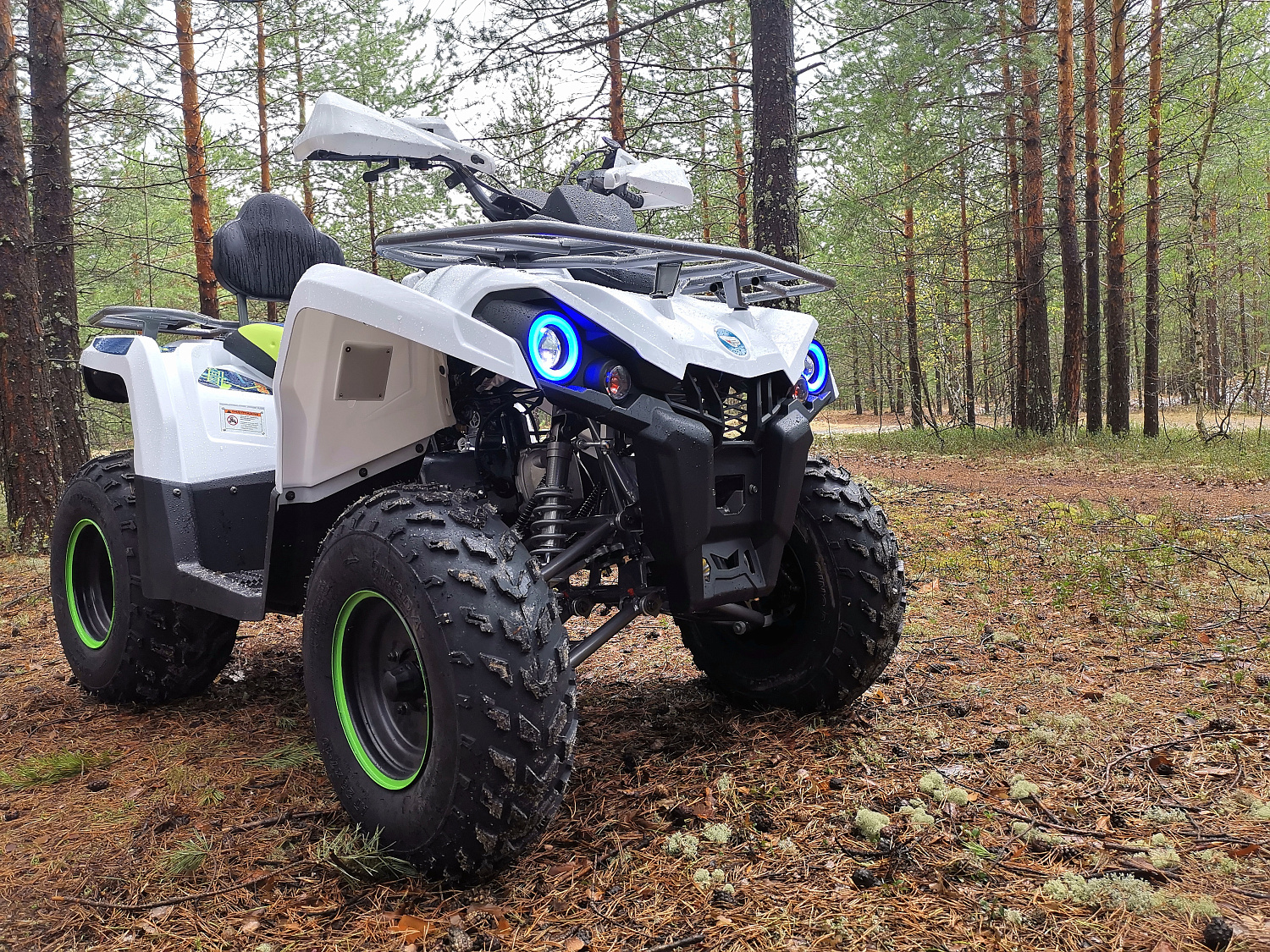 Квадроцикл PROMAX RENEGADE 280 (2025) в Тамбове