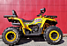 Квадроцикл PROMAX STORM 280 LUX в Тамбове