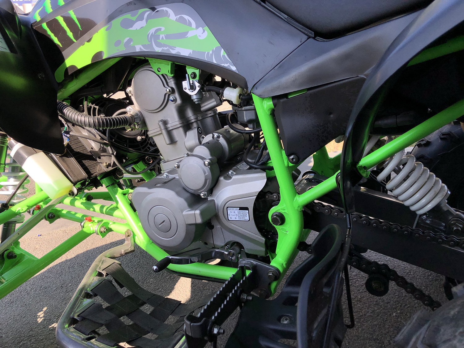 Квадроцикл PROMAX RAPTOR 300 NEW Monster в Тамбове