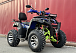  Квадроцикл PROMAX ATV 250 MAX (2025) в Тамбове