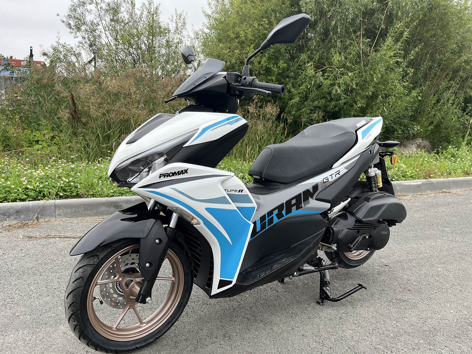 Скутер PROMAX TURAN 250 (49) в Тамбове