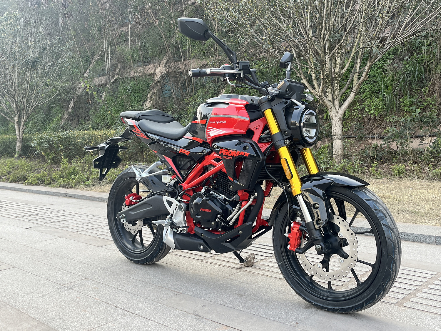 Мотоцикл PROMAX CB300 в Тамбове