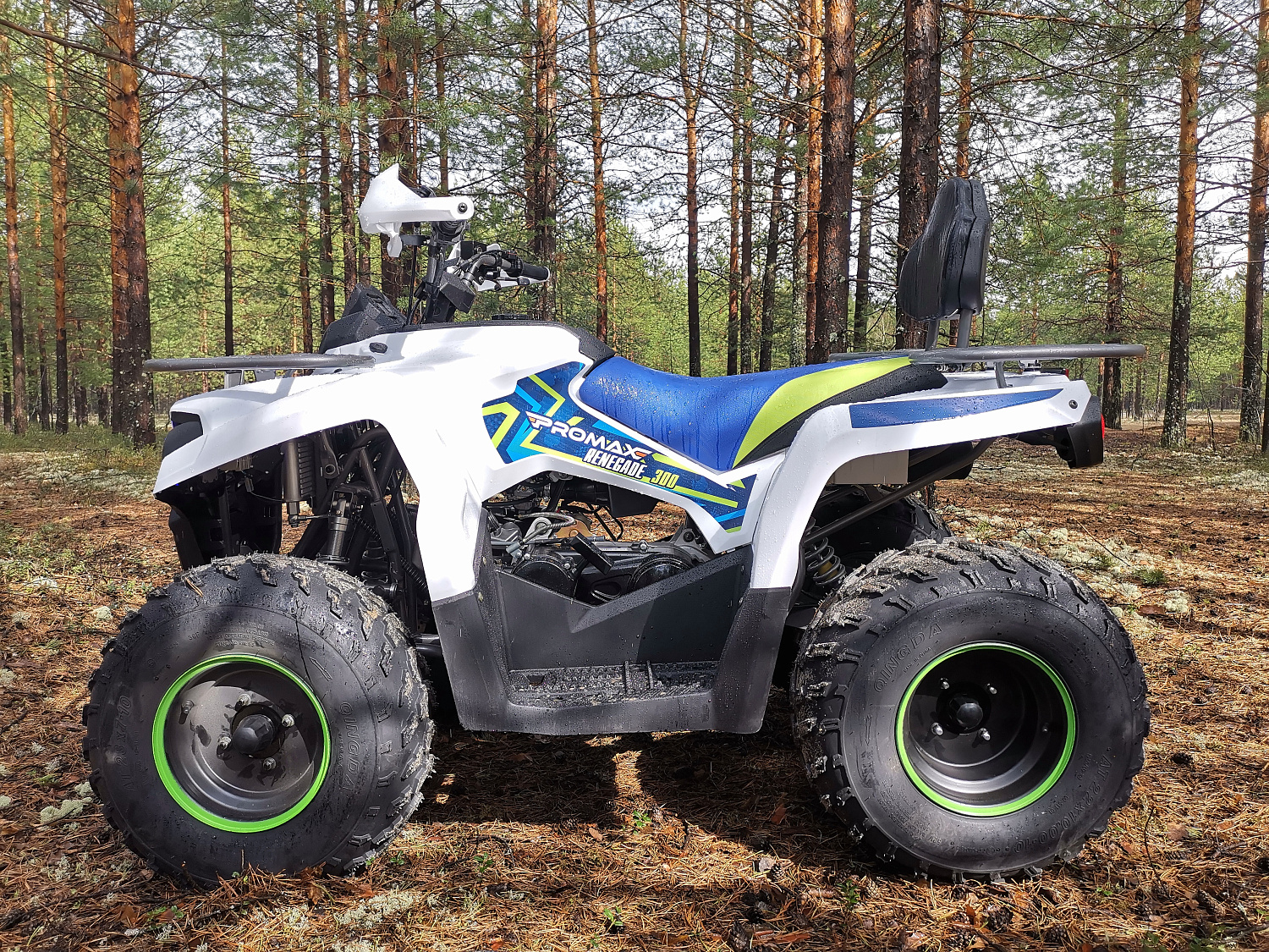 Квадроцикл PROMAX RENEGADE 280 (2025) в Тамбове