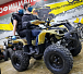 Квадроцикл PROMAX ATV 250 (2025) в Тамбове