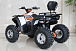 Квадроцикл GBM STORMRIDER 320 PREMIUM в Тамбове