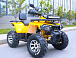 Квадроцикл MOTOLAND (МОТОЛЕНД) VOX200 WILD TRACK X PRO (баланс. вал) в Тамбове