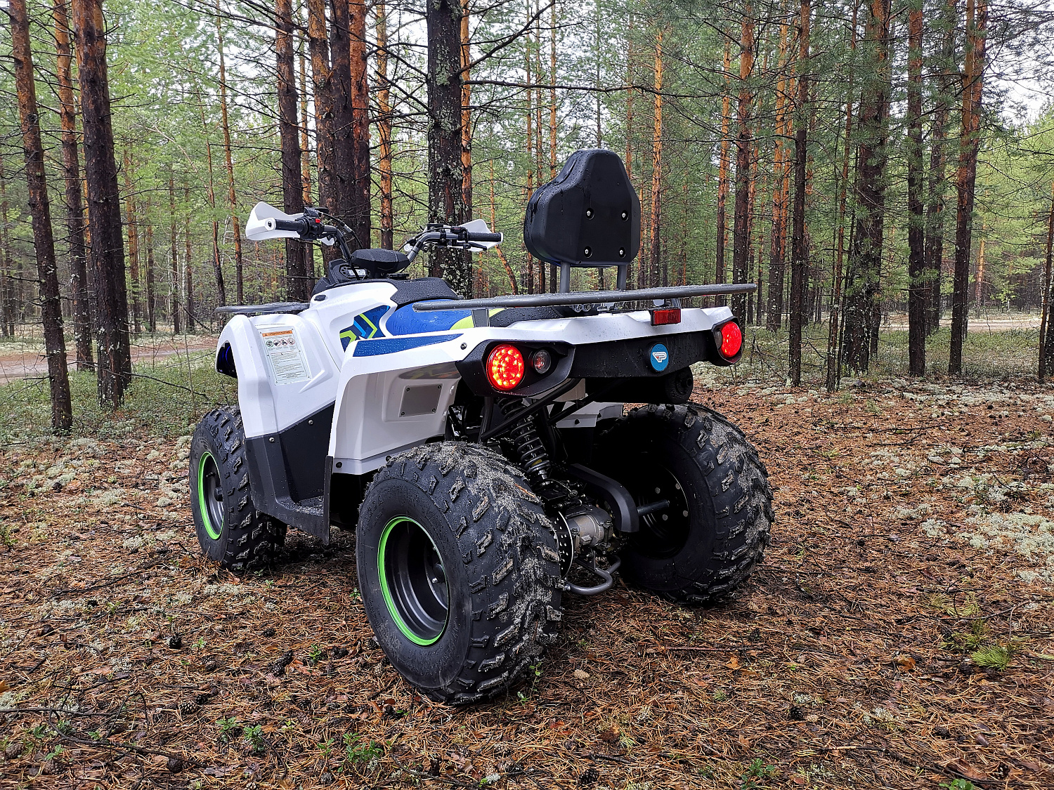 Квадроцикл PROMAX RENEGADE 280 (2025) в Тамбове