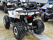 Квадроцикл PROMAX WILD 2.0 190 LUX в Тамбове