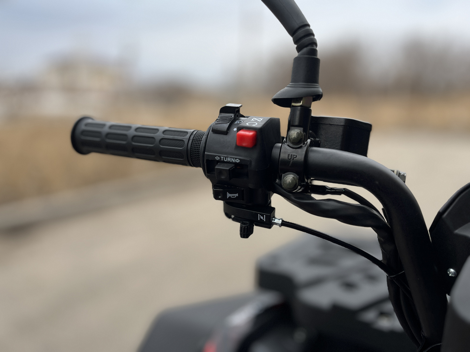 Квадроцикл PROMAX TAURUS 300 MAX-PRO LONG в Тамбове