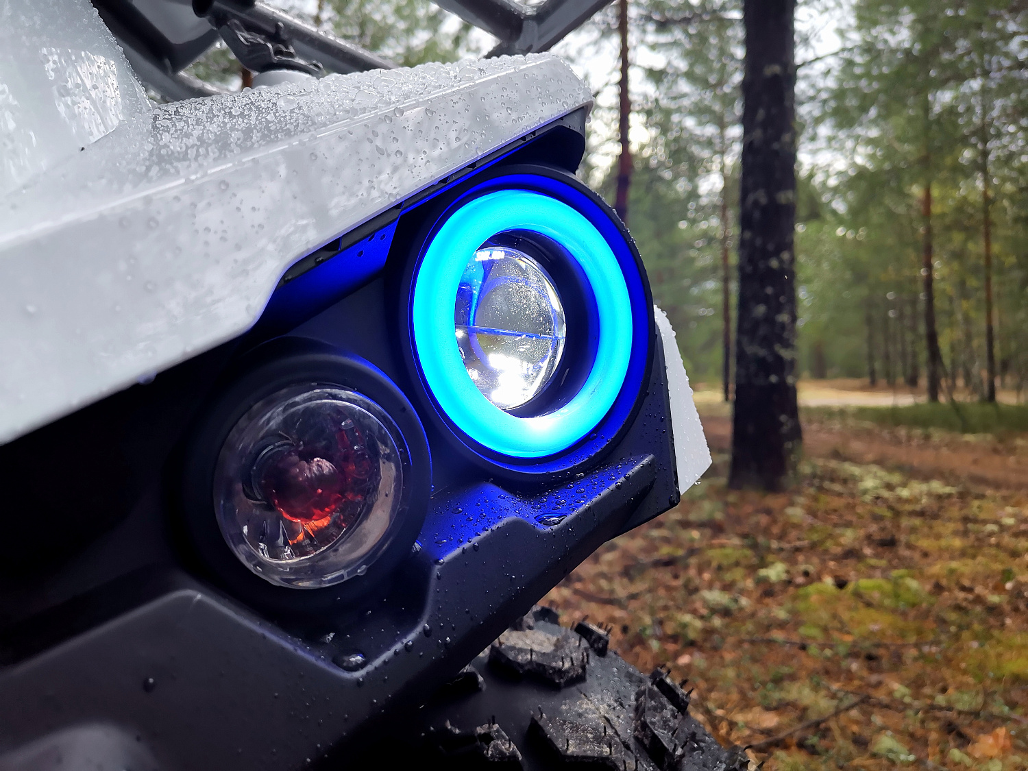 Квадроцикл PROMAX RENEGADE 280 (2025) в Тамбове