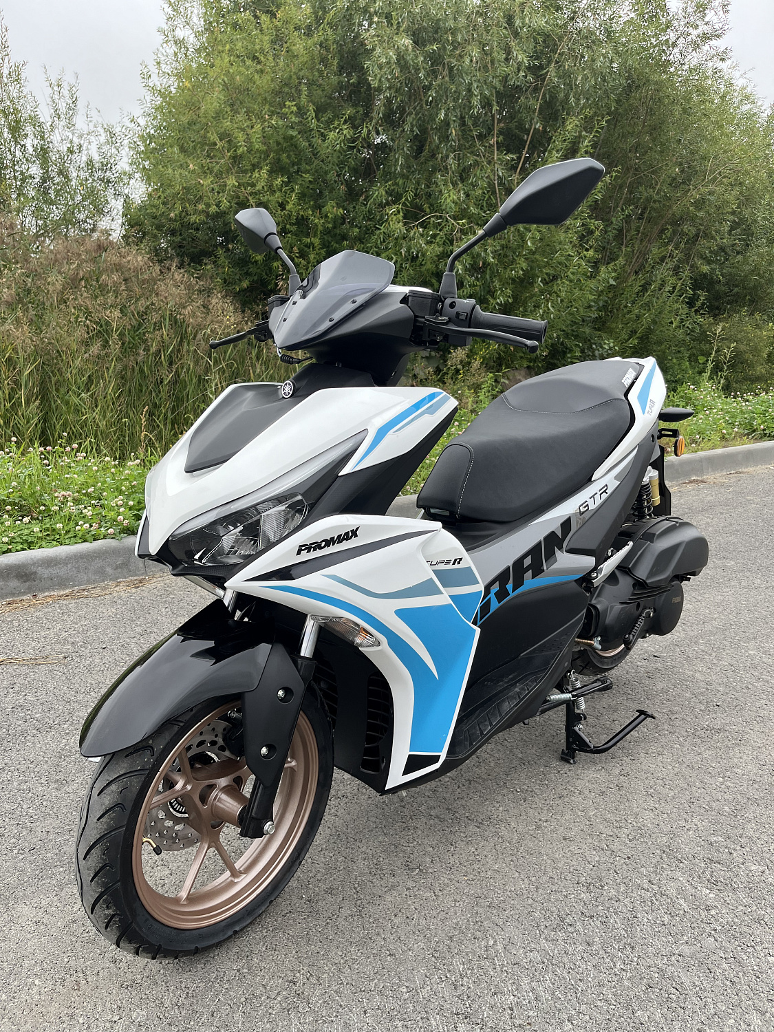 Скутер PROMAX TURAN 250 (49) в Тамбове