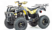 Квадроцикл MOTOLAND (МОТОЛЕНД) 250 ADVENTURE в Тамбове