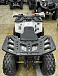 Квадроцикл PROMAX WILD 2.0 190 в Тамбове
