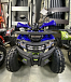 Квадроцикл PROMAX WILD 2.0 190 PRO (2025) в Тамбове